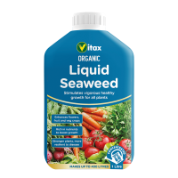 Organic Seaweed Image 1