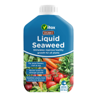 Organic Seaweed Image 3