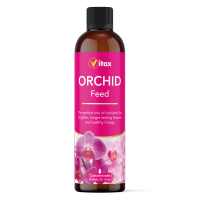 Orchid Liquid Feed Image 1