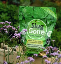 Slug Gone Image 6