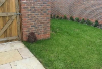 New garden
