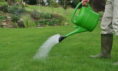 Lawn Tonic